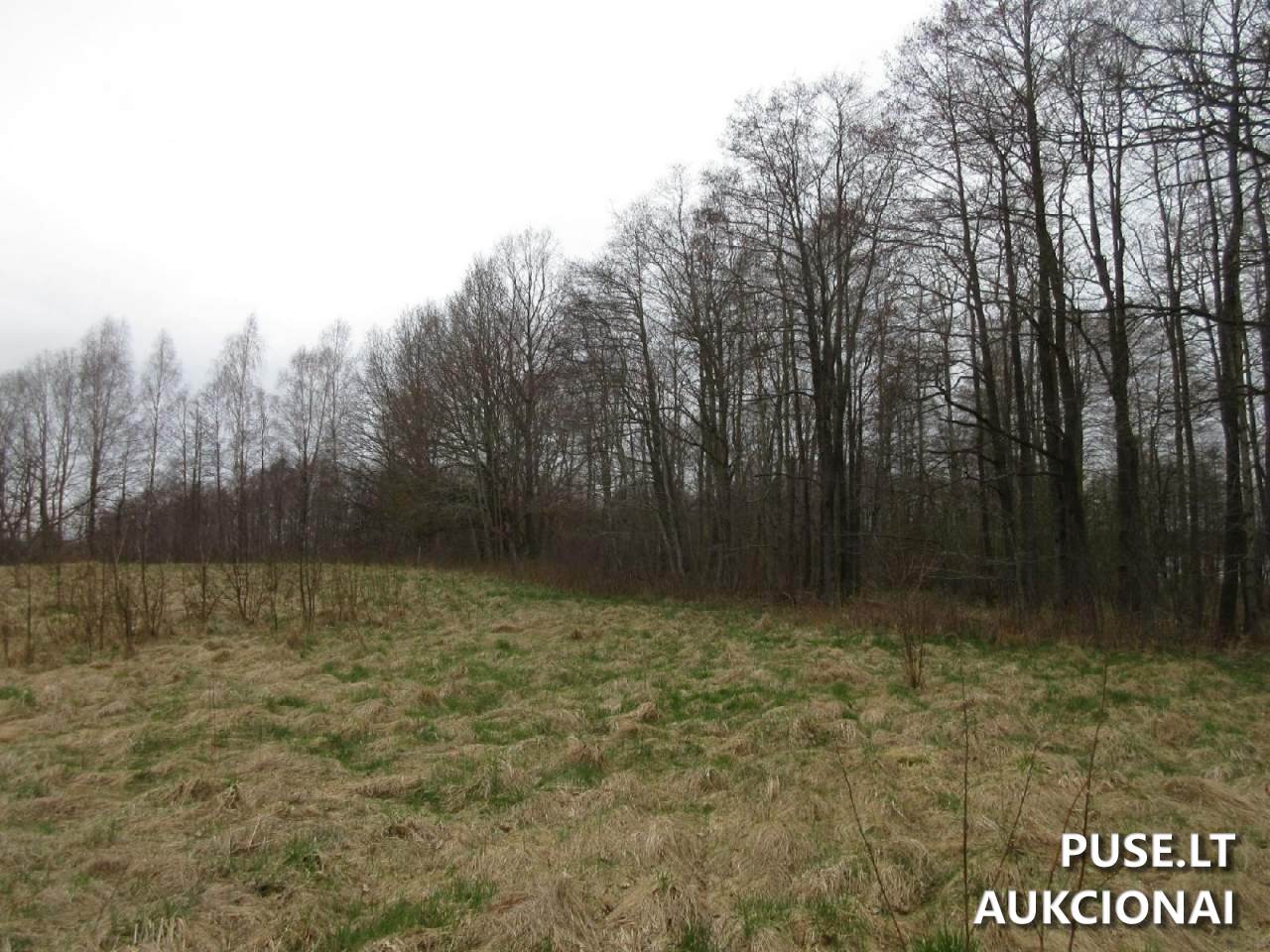 Žemės sklypas Sklypai Plungė District Municipality, Lithuania 14