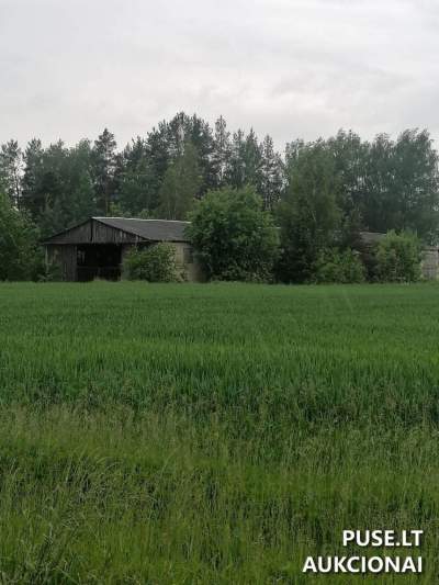 Sandėlis Anykščių rajone, Zabelynės kaime, pradinė kaina 4800 EUR - Parduodamas turtas