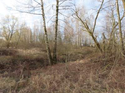 Valstybinės žemės sklypo aukcionas Pramonės g. 12B, Panevėžyje, pradinė kaina 142256 EUR