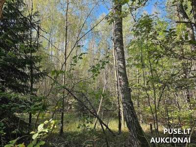 Miškų ūkio žemės sklypas Šalčininkų rajone 4.3800 ha pardavimas už 3840 EUR