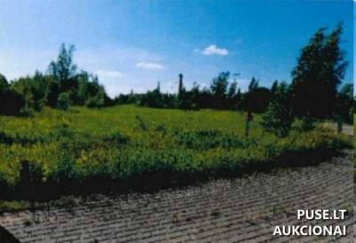 Valstybinis žemės sklypas Akmenės r. sav. Ventos mieste, Statybininkų g. 61, nuomojamas nuo 77 EUR