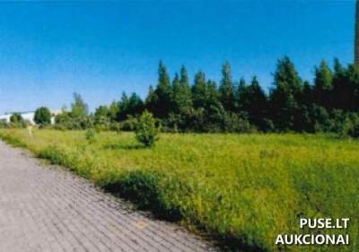 Valstybinės žemės sklypo nuoma Ventos mieste, Akmenės rajone, pradinė kaina 105 EUR