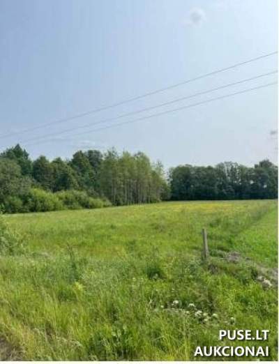 Žemės ūkio paskirties sklypas Tauragės r. Dapkiškių k. 4000 EUR pradinė kaina