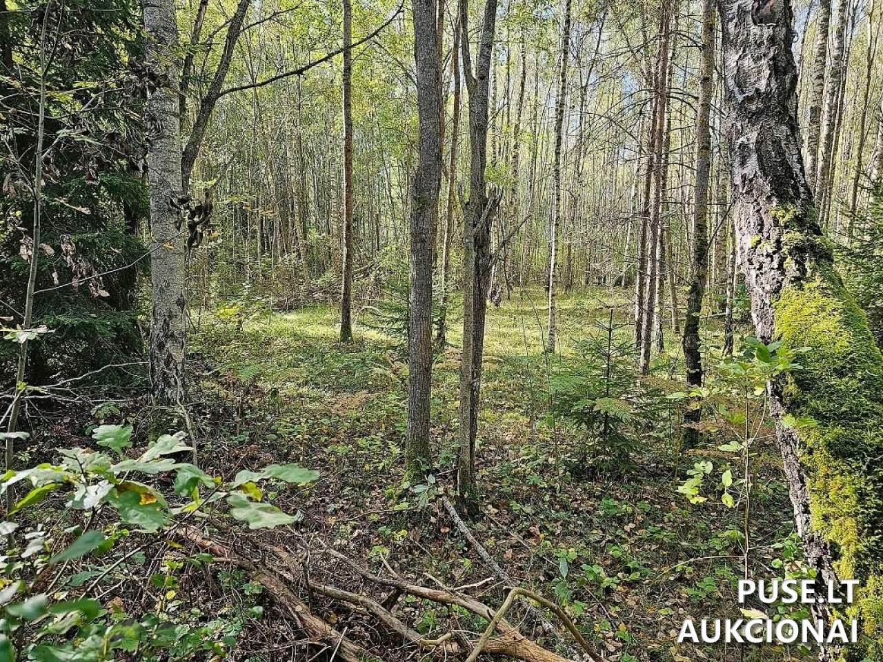 Žemės sklypas Sklypai Šalčininkai District Municipality, Lithuania 1