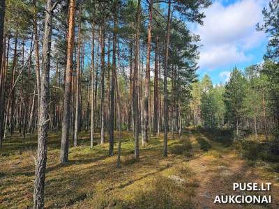 Parduodamas 10.34 ha žemės ūkio paskirties sklypas Šalčininkų rajone, Jacionių kaime, pradinė kaina 10160 EUR