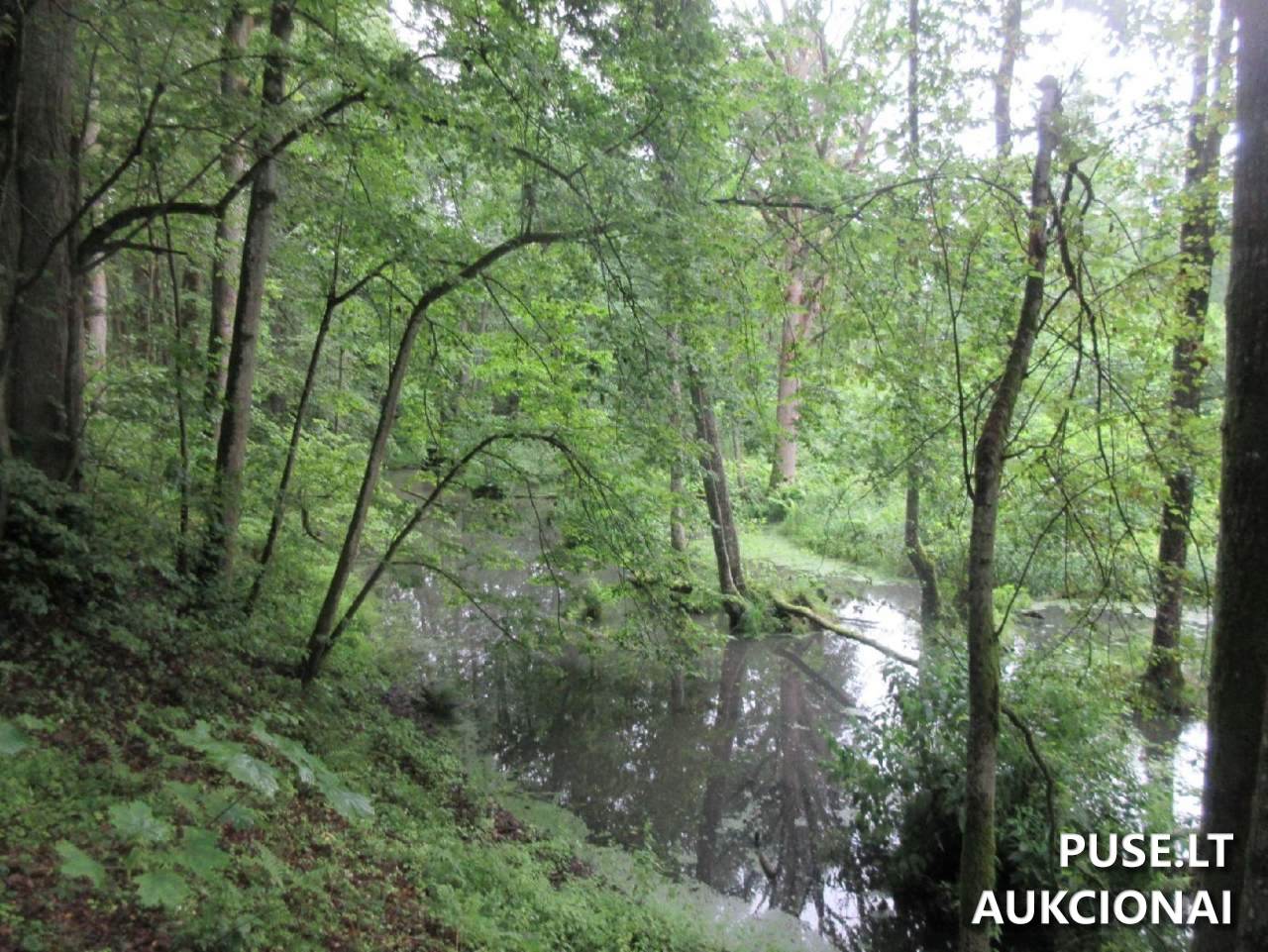 Žemės sklypas Sklypai Klaipėda District Municipality, Lithuania 4