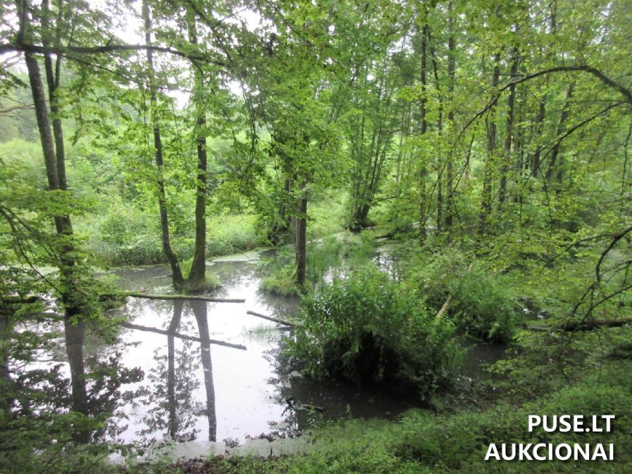 Žemės sklypas Sklypai Klaipėda District Municipality, Lithuania 5