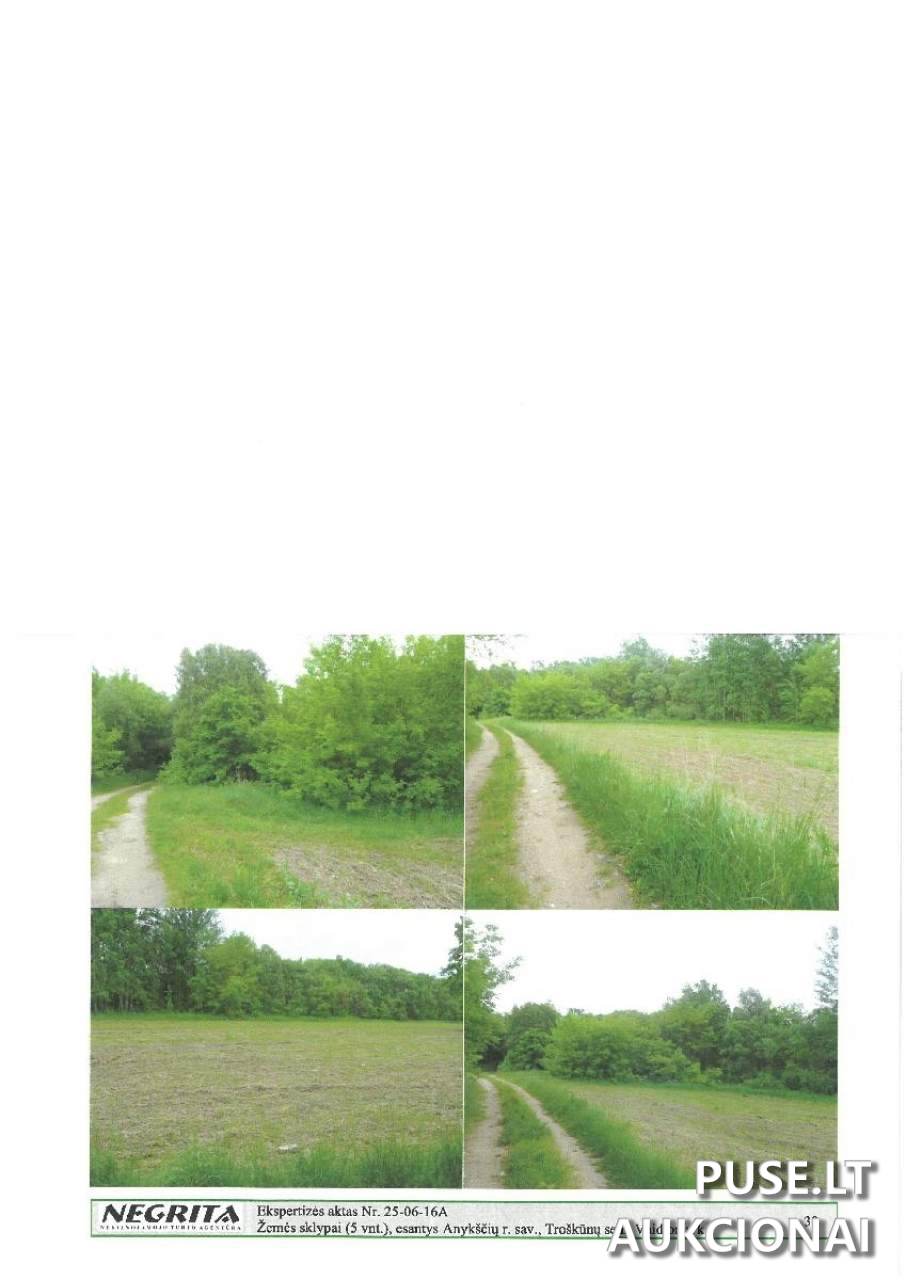 Žemės sklypas Sklypai Vaidlonys, Anykščiai District Municipality, Lithuania 1