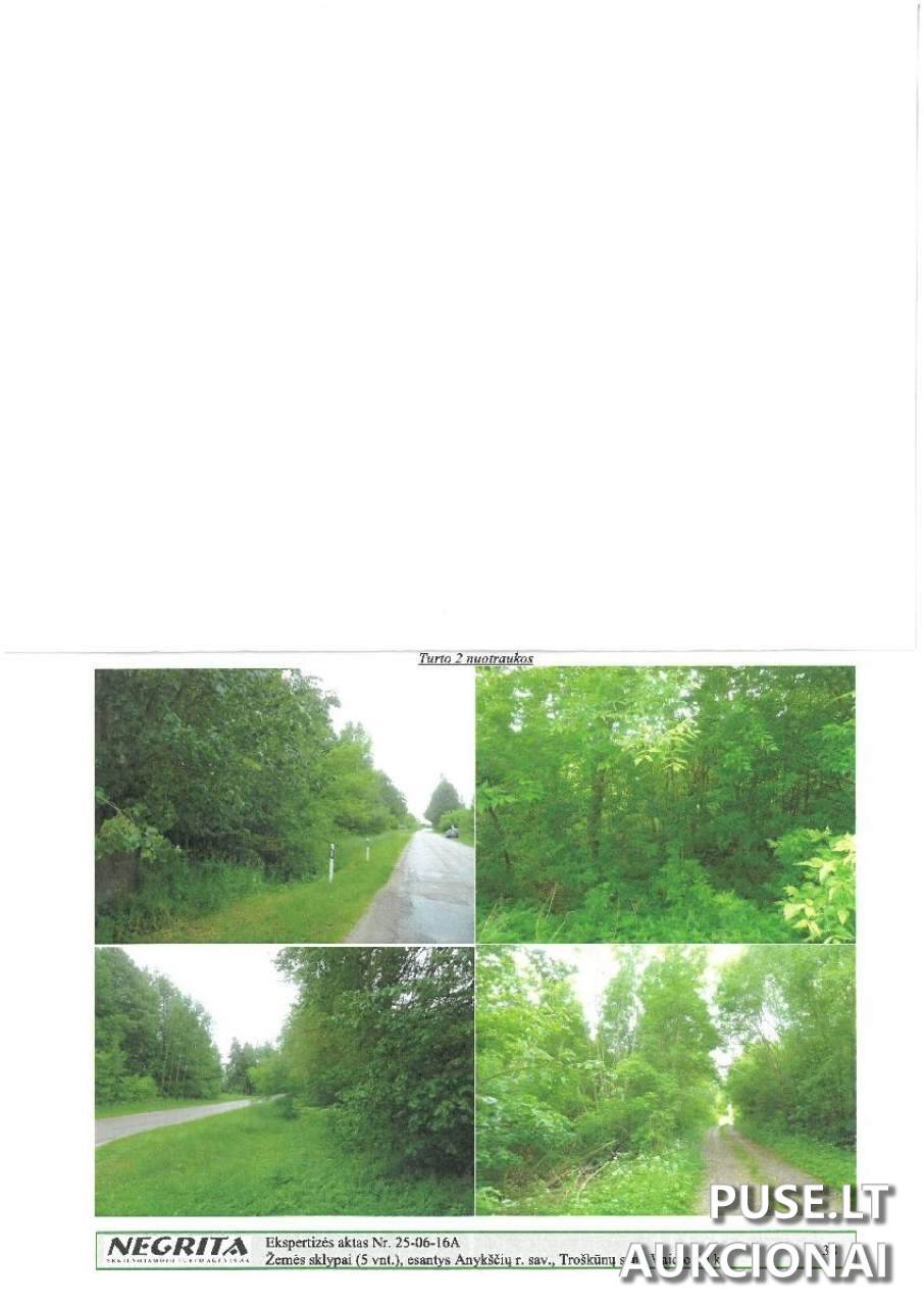 Žemės sklypas Sklypai Vaidlonys, Anykščiai District Municipality, Lithuania 4
