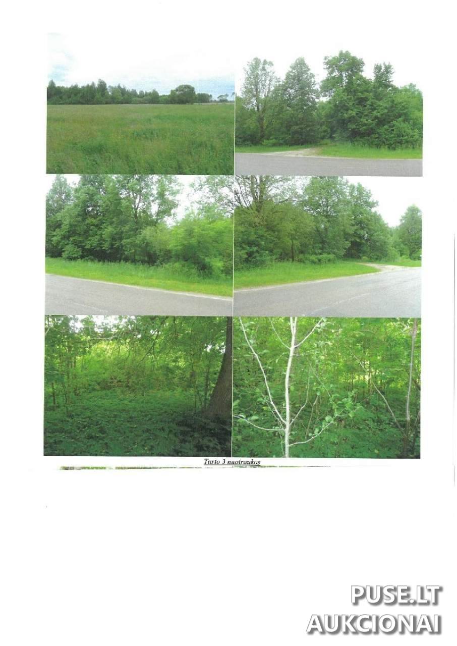 Žemės sklypas Sklypai Vaidlonys, Anykščiai District Municipality, Lithuania 6