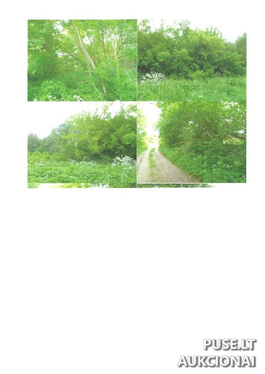 Žemės sklypas Sklypai Vaidlonys, Anykščiai District Municipality, Lithuania 5