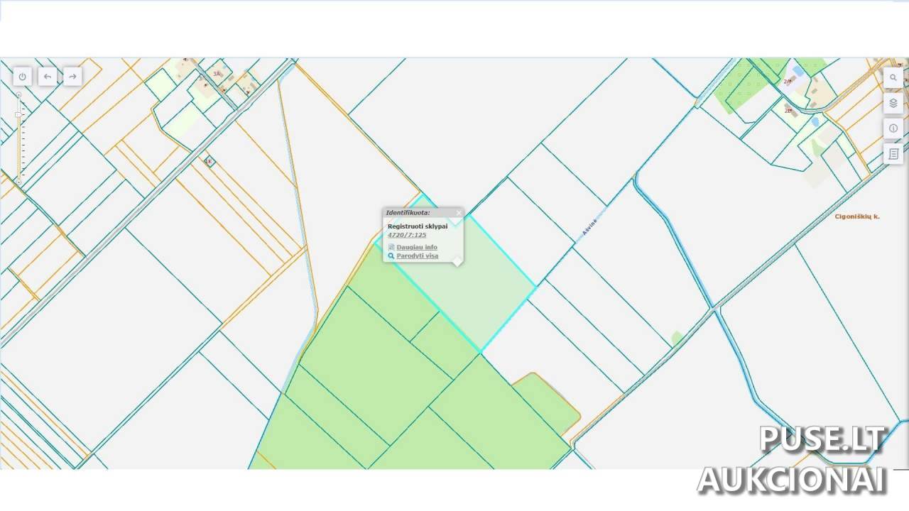 Žemės sklypas Sklypai Joniškis District Municipality, Lithuania 2