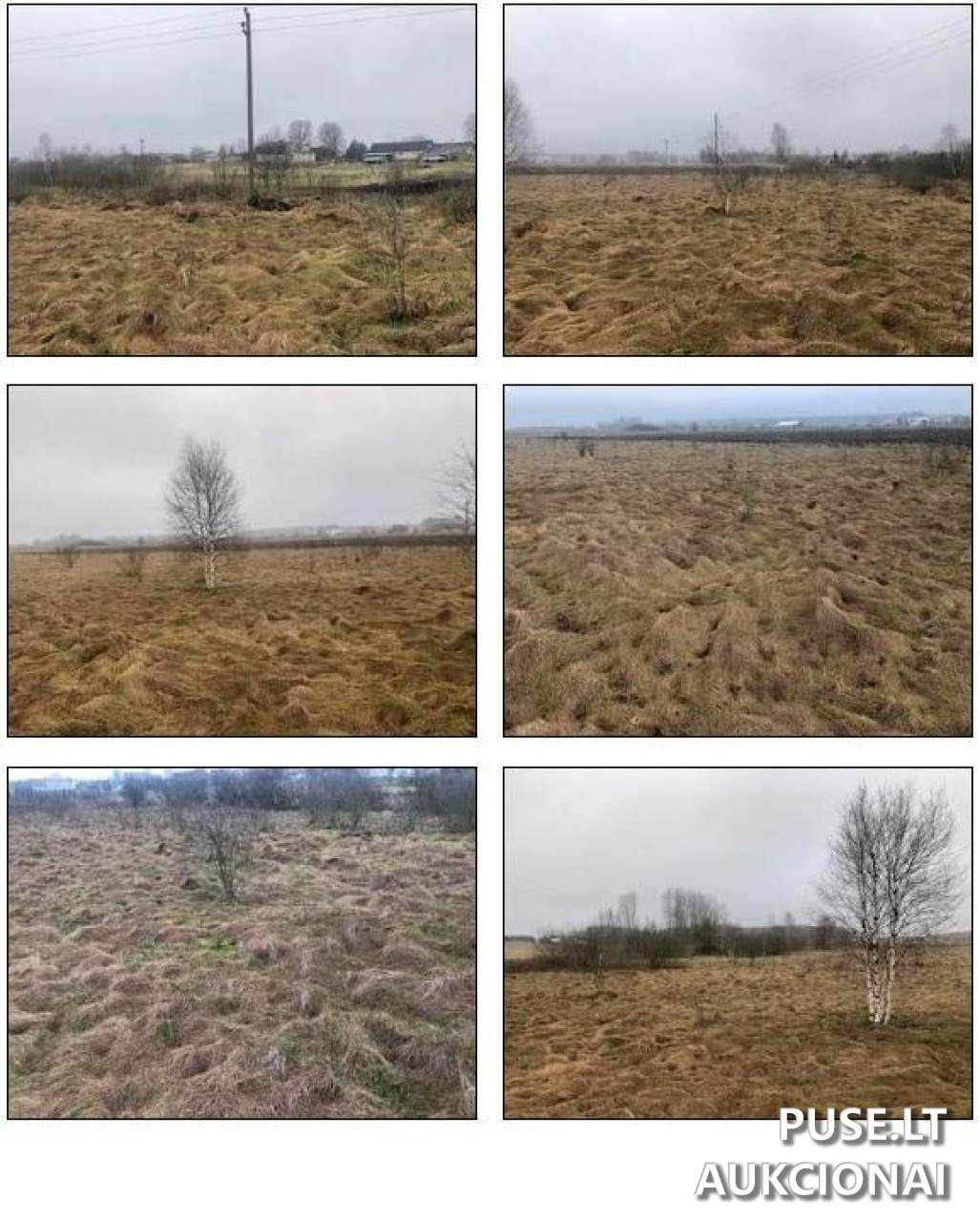 Žemės sklypas Sklypai Senasis Tarpupis, 21148 Trakų r. sav., Lithuania 5