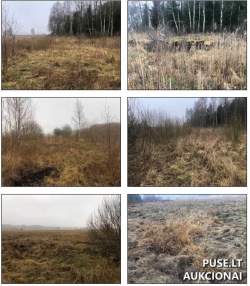 Sklypai - Žemės sklypas