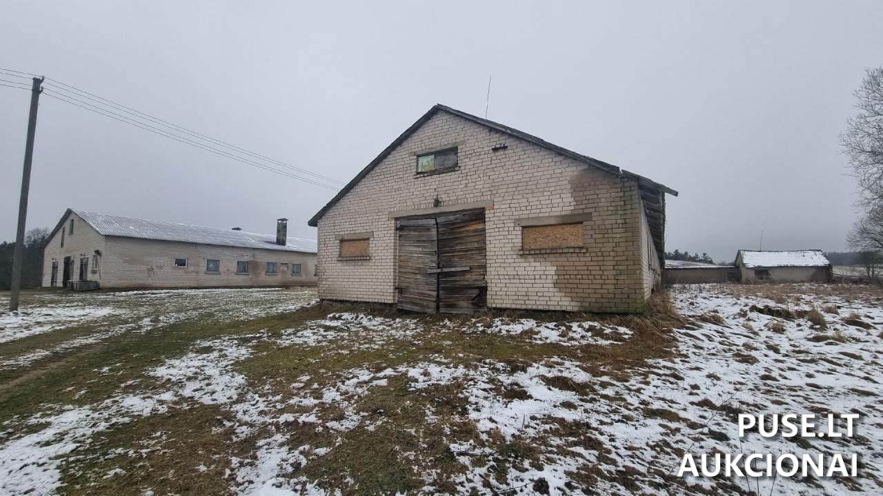 Kiaulidė Pastatai Kalnų g. 24A, Pamedinčių k., 90419 Plungės r. sav., Lithuania 10