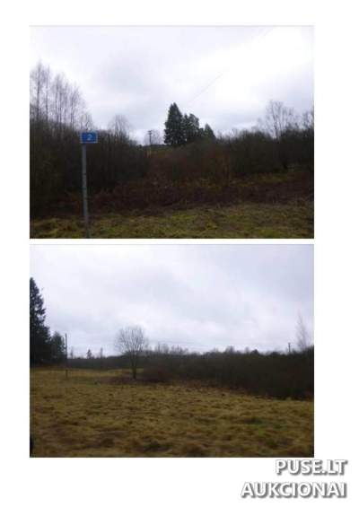 7.1 ha žemės ūkio paskirties sklypas Utenos raj., Lukošiūnų k., pradinė kaina 7680 EUR