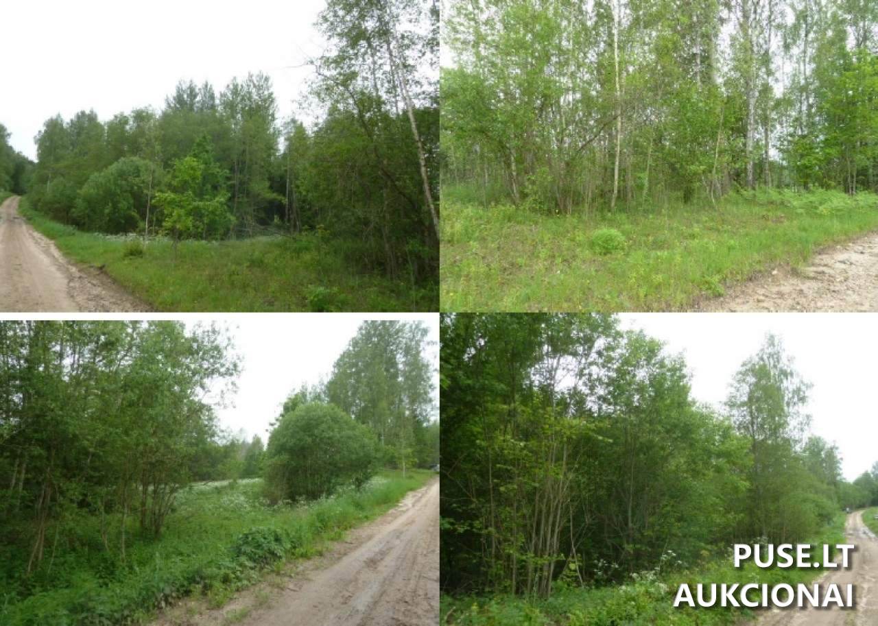 Žemės sklypas Sklypai Lukošiūnai, 28304 Utena District Municipality, Lithuania 3