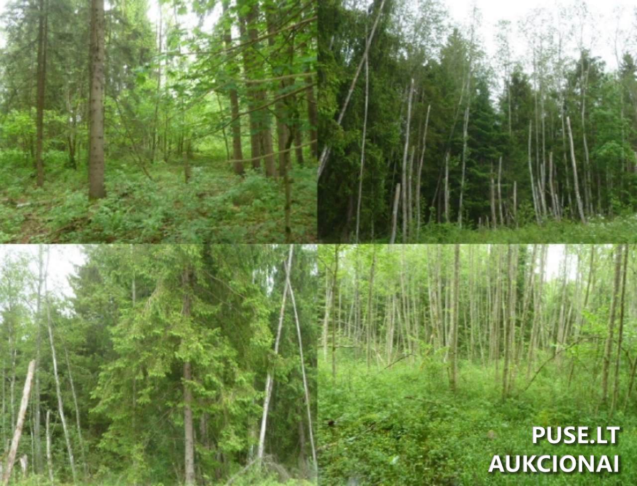Žemės sklypas Sklypai Lukošiūnai, 28304 Utena District Municipality, Lithuania 5