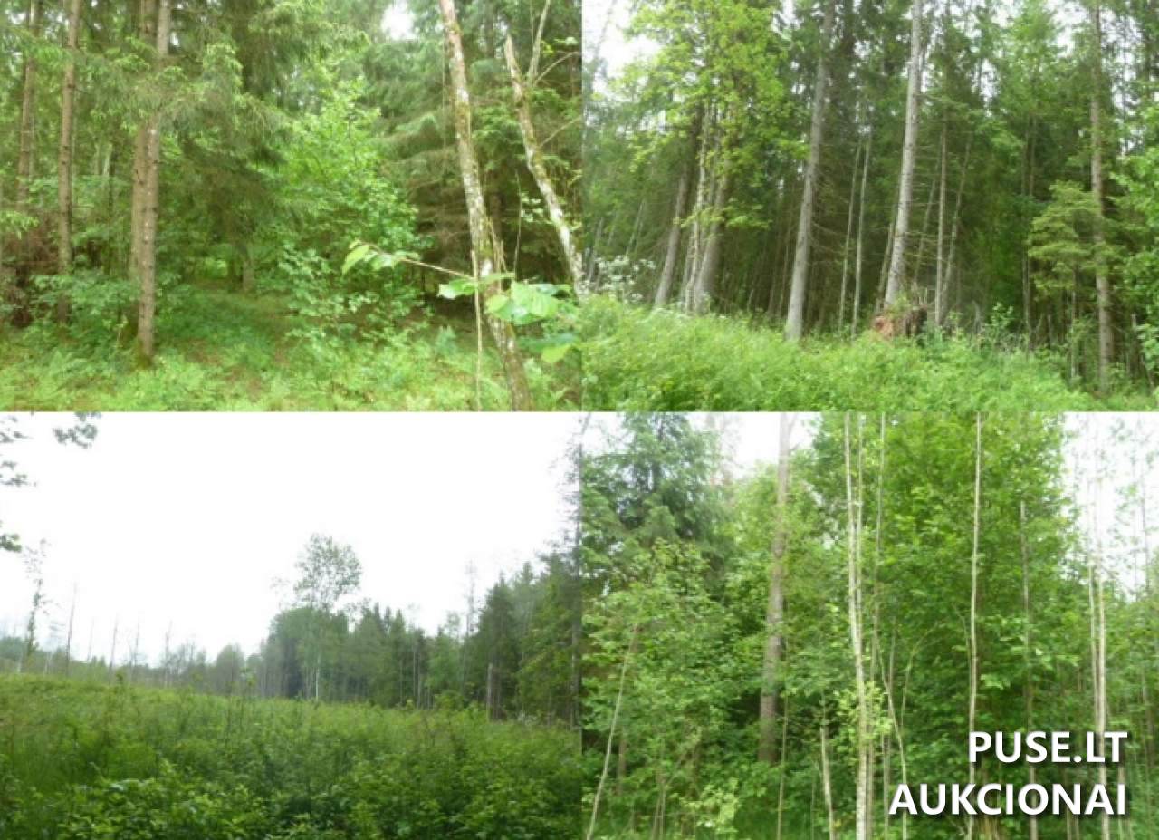 Žemės sklypas Sklypai Lukošiūnai, 28304 Utena District Municipality, Lithuania 6