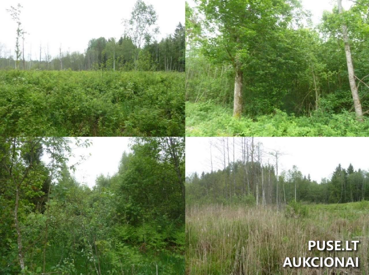 Žemės sklypas Sklypai Lukošiūnai, 28304 Utena District Municipality, Lithuania 7