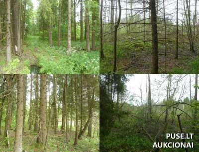 Žemės sklypas Utenos rajone, Lukošiūnų kaime, 1/2 dalis, pradinė kaina 11280 EUR