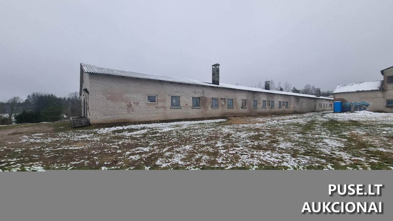Kiaulidė Pastatai Kalnų g. 24A, Pamedinčių k., 90419 Plungės r. sav., Lithuania 3