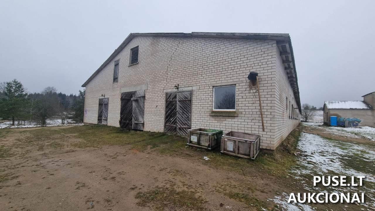 Kiaulidė Pastatai Kalnų g. 24A, Pamedinčių k., 90419 Plungės r. sav., Lithuania 4