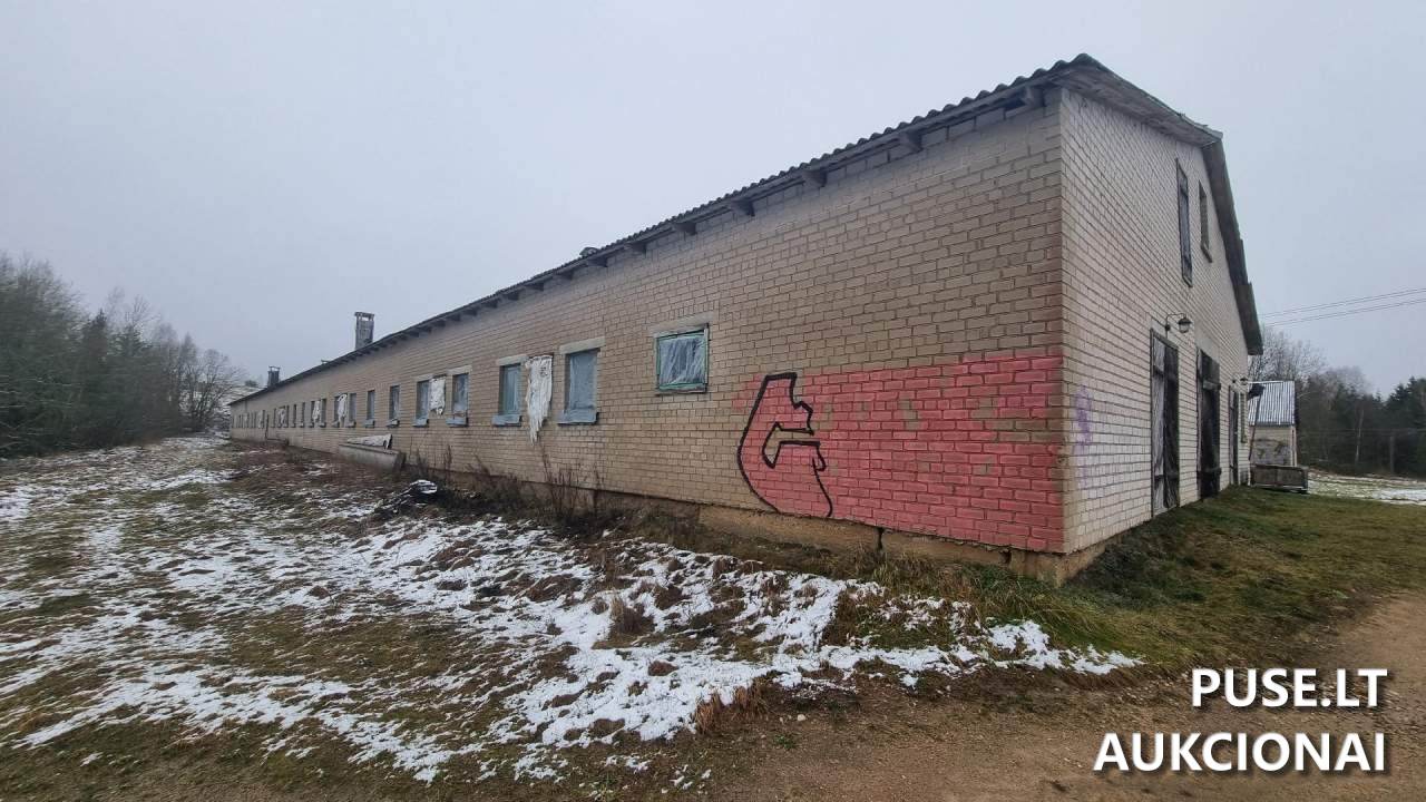 Kiaulidė Pastatai Kalnų g. 24A, Pamedinčių k., 90419 Plungės r. sav., Lithuania 5