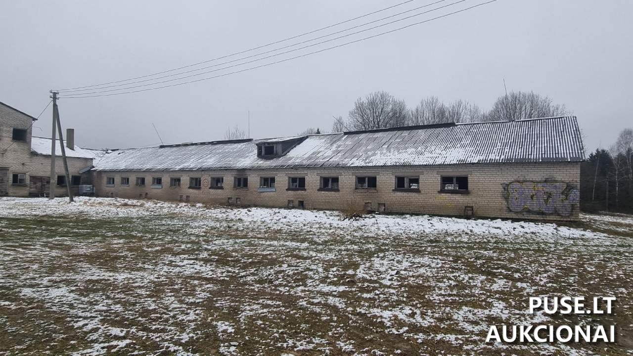 Kiaulidė Pastatai Kalnų g. 24A, Pamedinčių k., 90419 Plungės r. sav., Lithuania 6
