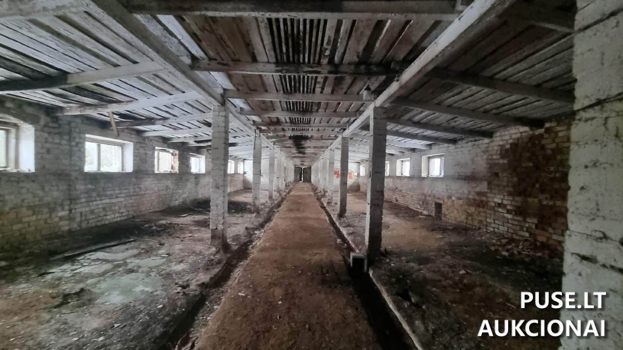 Kiaulidė Pastatai Kalnų g. 24A, Pamedinčių k., 90419 Plungės r. sav., Lithuania 9