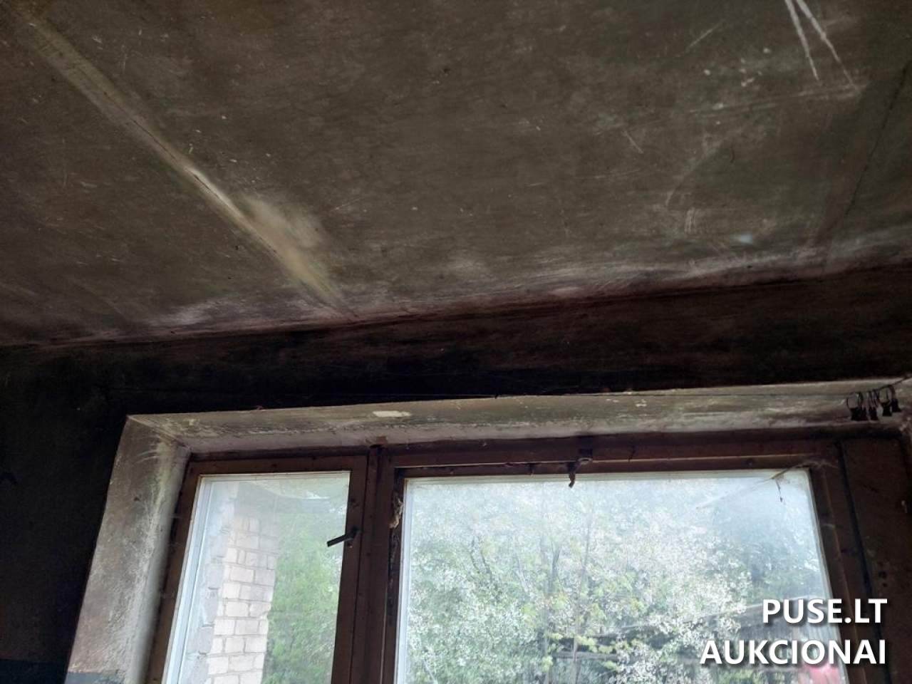 Butas Patalpos/Butai Mačionių g. 1, 55432 Petrašiūnai, Lithuania 12