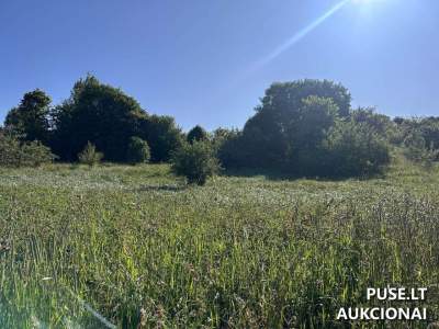 Valstybinis žemės sklypas Rietave, Pievų g. 19B, pradinė kaina 6180 EUR