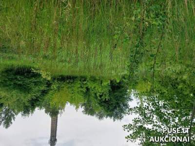 Valstybinis žemės sklypas Anykščių rajone, Troškūnų g. 4, pradinė kaina 101511 EUR