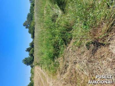 Valstybinis žemės sklypas Kretingos r., Pramonės g. 3, su 32005 EUR pradine kaina