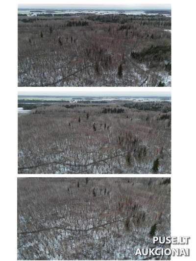 Žemės sklypas Kupiškio r. sav., Didžiagrašių k. parduodamas aukcione nuo 2400 EUR - unikalus numeris 5713-0004-0197