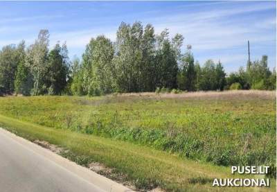 Valstybinės žemės sklypas Šiauliuose, Daubos g. 20, pradinė kaina 29293 EUR