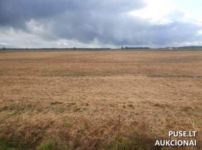 Žemės ūkio paskirties sklypas 2.64 ha Tauragės r. sav., Adakave - 9120 EUR