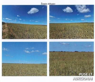 Žemės sklypas Kėdainių rajone, Aristavos kaime, 5400 EUR pradinė kaina, antstolių varžytynės