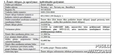 Žemės sklypas Širvintų rajone, Barzdžių kaime, 63120 EUR pradinė kaina - Unikalus NT turtas