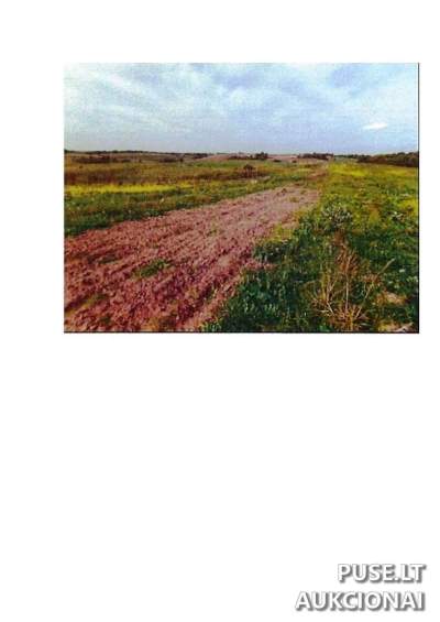 Žemės sklypas Prienų rajone, Intuponių kaime, parduodamas aukcione už 52200 EUR
