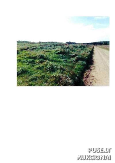 Žemės sklypas Prienų rajone, Intuponių kaime, 13140 EUR pradinė kaina
