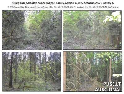 Žemės ūkio paskirties sklypas Joniškio rajone, Girminių kaime, pradinė kaina 12800 EUR