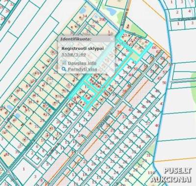 Parduodamas 1381/10748 dalis žemės sklypo Klaipėdos r. sav., Trušelių k., pradinė kaina 113896 EUR