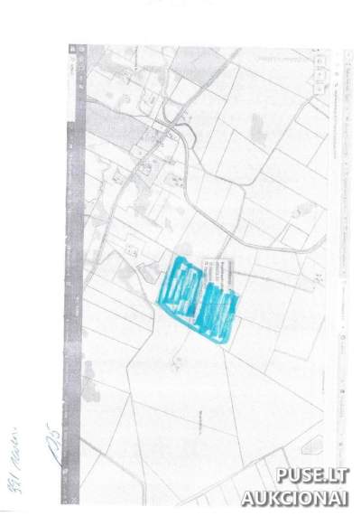 Žemės ūkio paskirties sklypas Kaišiadorių r. sav., Skarbiškių k., NŠT aukcionas 36000 EUR