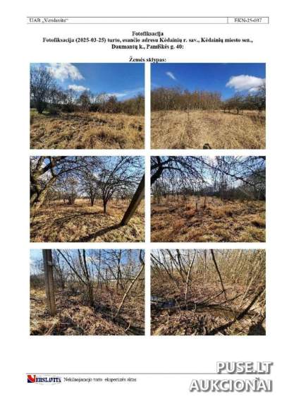 Žemės sklypas Kėdainių r. sav., Daumantų k., Pamiškės g. 40, antrosios pakartotinės varžytynės, pradinė kaina 1440 EUR