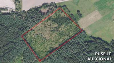 Parduodamas 7.2 ha miškas Radviliškio r. sav. Stalmokų k. antstolių aukcione pradinė kaina 8100 EUR