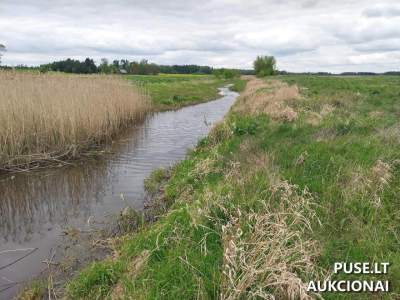 Žemės sklypas Panevėžio r., Raguvos vs. – pradinė kaina 3950 EUR, žemės ūkio paskirtis