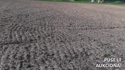 Žemės sklypas Juknaičiuose, Alkos g. 29, Šilutės r. – pradinė kaina 7 416 EUR