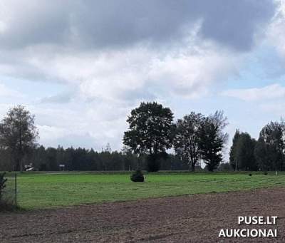 Žemės sklypas Juknaičiuose, Alkos g. 33 – pradinė kaina 7 226 EUR