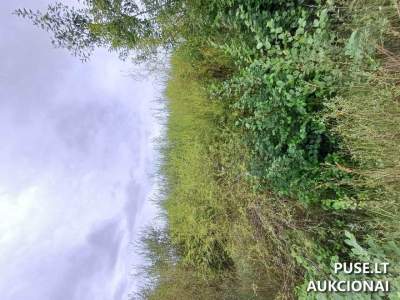 Žemės sklypas Mažeikiuose, Česlovo Kontrimo g. 17A - pradinė kaina 11 310 EUR